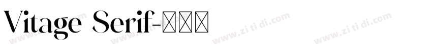 Vitage Serif字体转换
